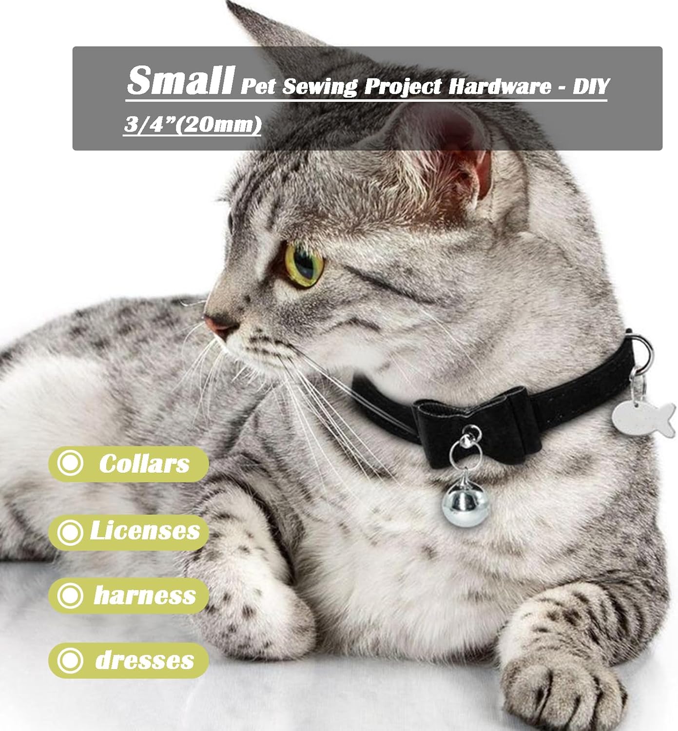 Fibbia ad anello a forma di D  - D Ring Strap recensione e prezzo